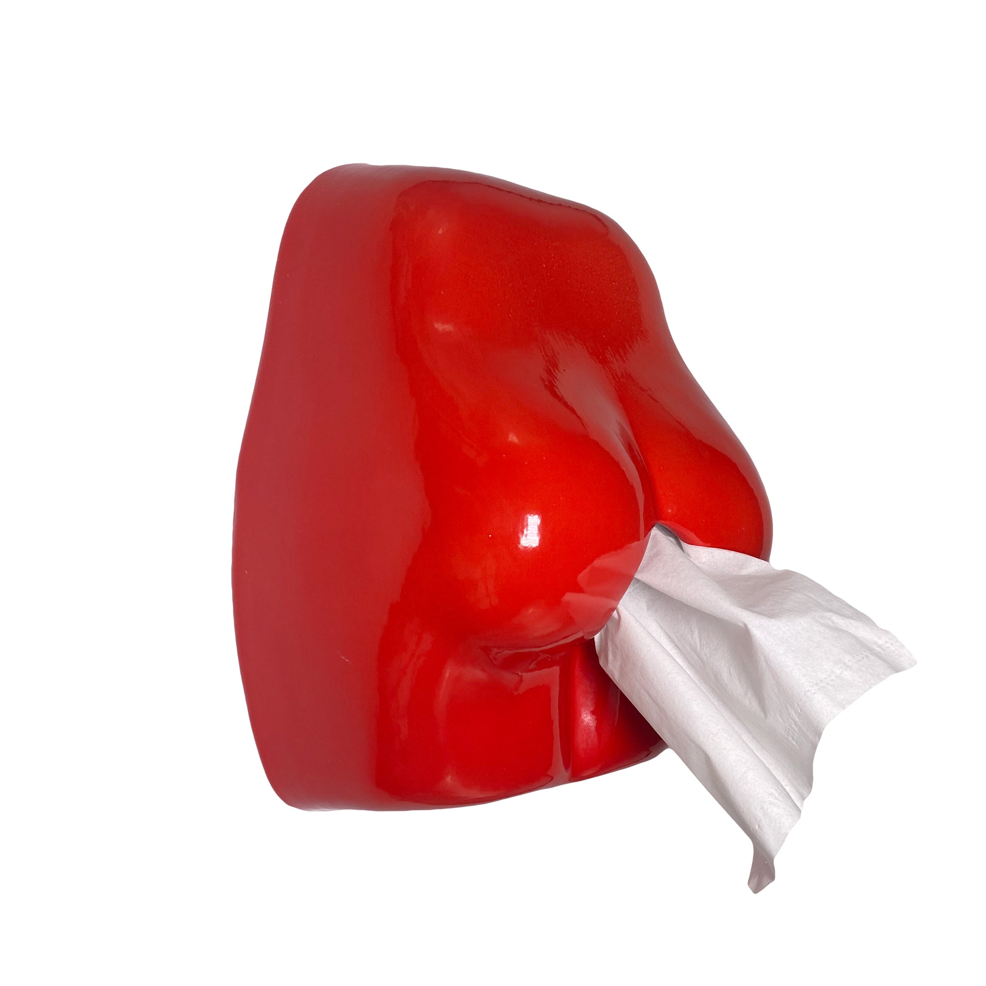 booty-butt-shaped-ceramic-tissue-dispenser-wall-hanging-bathroom-accessories