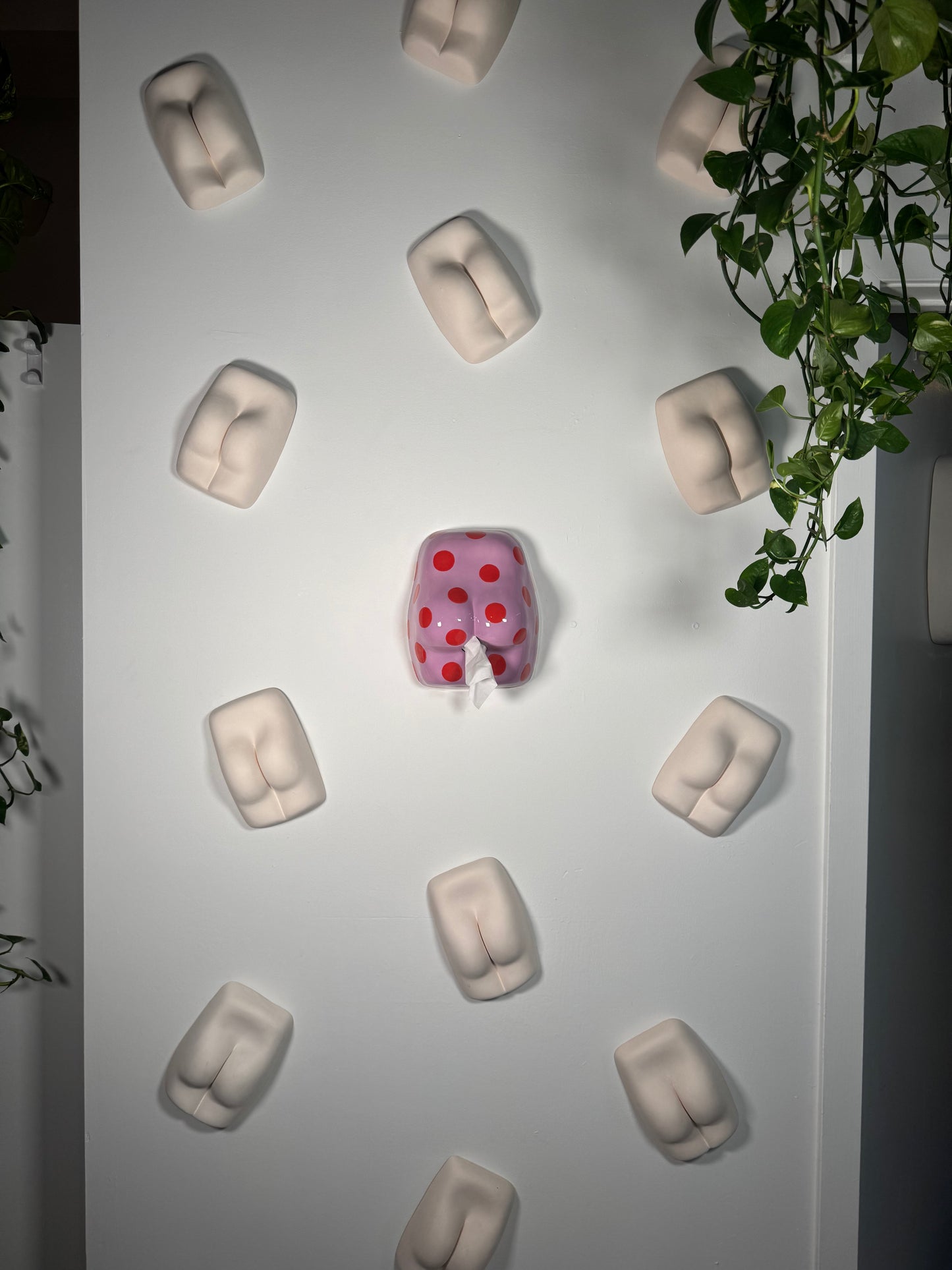 Spotted Tissue Tushy