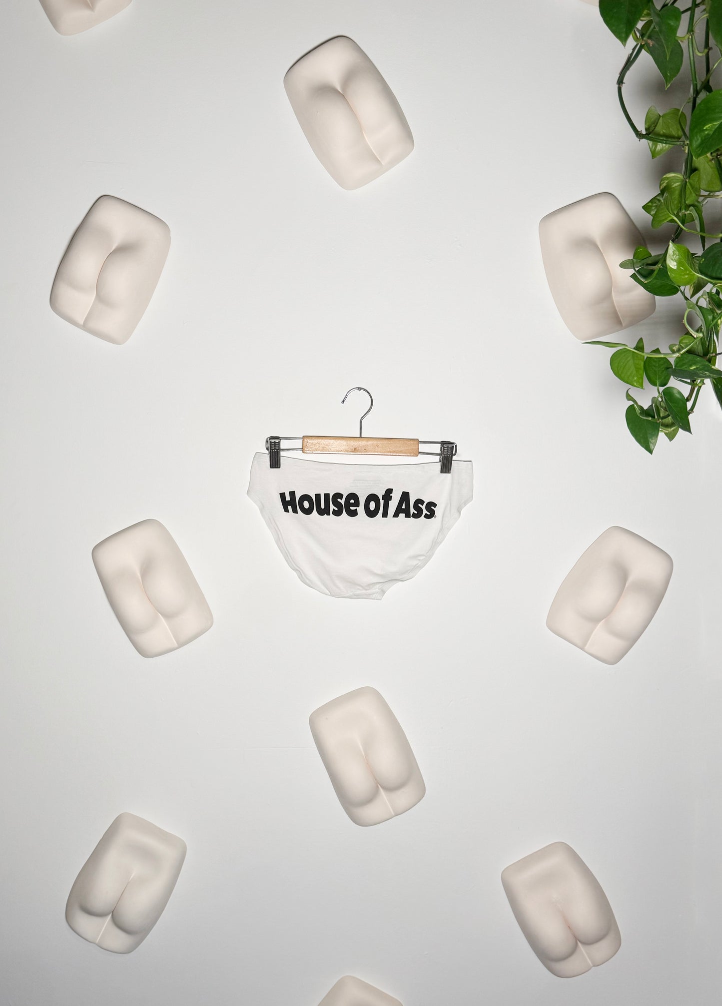 House of Ass Underwear
